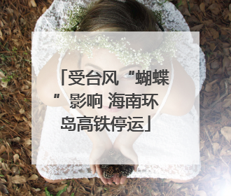 受台风“蝴蝶”影响 海南环岛高铁停运