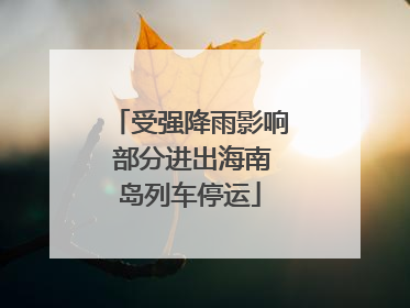 受强降雨影响 部分进出海南岛列车停运