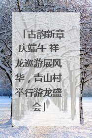 古韵新章庆端午 祥龙巡游展风华，青山村举行游龙盛会
