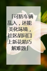 可防车辆乱入，还能美化环境，社区胡同口上新花箱巧解难题