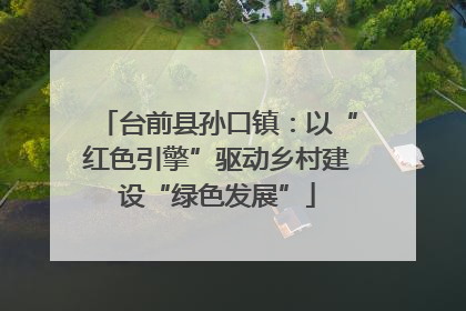 台前县孙口镇：以“红色引擎”驱动乡村建设“绿色发展”