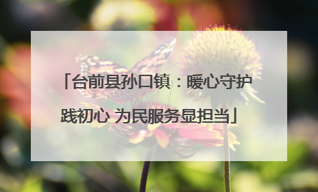 台前县孙口镇：暖心守护践初心 为民服务显担当