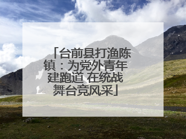 台前县打渔陈镇：为党外青年建跑道 在统战舞台竞风采