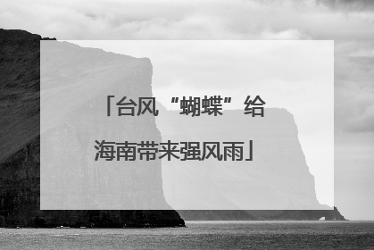 台风“蝴蝶”给海南带来强风雨
