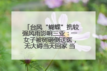 台风“蝴蝶”携较强风雨影响三亚：一女子被树砸倒送医，无大碍当天回家 当地已紧急清障