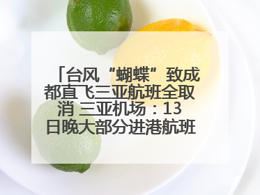 台风“蝴蝶”致成都直飞三亚航班全取消 三亚机场：13日晚大部分进港航班还未取消