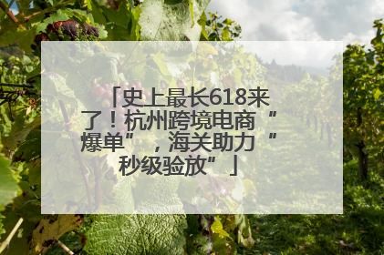 史上最长618来了！杭州跨境电商“爆单”，海关助力“秒级验放”