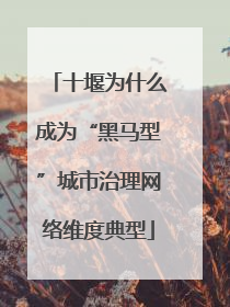 十堰为什么成为“黑马型”城市治理网络维度典型
