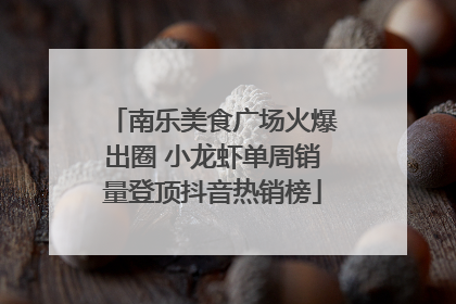 南乐美食广场火爆出圈 小龙虾单周销量登顶抖音热销榜