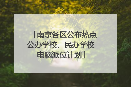 南京各区公布热点公办学校、民办学校电脑派位计划