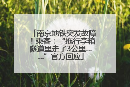 南京地铁突发故障！乘客：“拖行李箱隧道里走了3公里……”官方回应