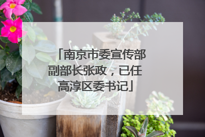 南京市委宣传部副部长张政，已任高淳区委书记