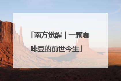南方觉醒｜一颗咖啡豆的前世今生