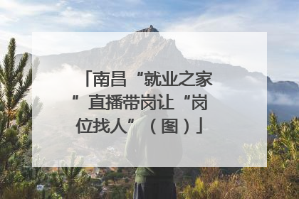 南昌“就业之家”直播带岗让“岗位找人”（图）