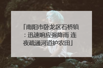 南阳市卧龙区石桥镇：迅速响应强降雨 连夜疏通河道护农田