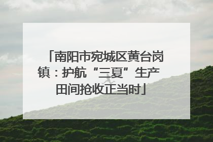 南阳市宛城区黄台岗镇：护航“三夏”生产 田间抢收正当时