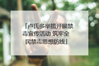 卢氏多举措开展禁毒宣传活动 筑牢全民禁毒思想防线