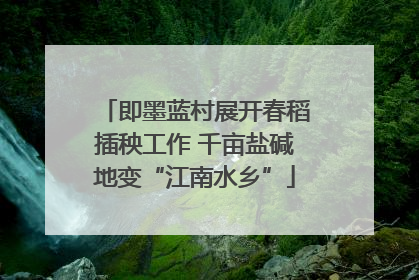 即墨蓝村展开春稻插秧工作 千亩盐碱地变“江南水乡”