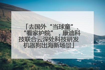 去国外“当球童”、“看家护院”，康迪科技联合云深处科技研发机器狗出海新场景