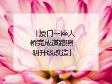 厦门三座大桥完成道路照明升级改造
