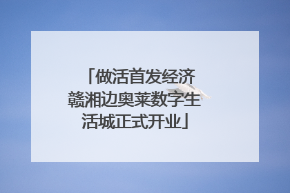 做活首发经济 赣湘边奥莱数字生活城正式开业