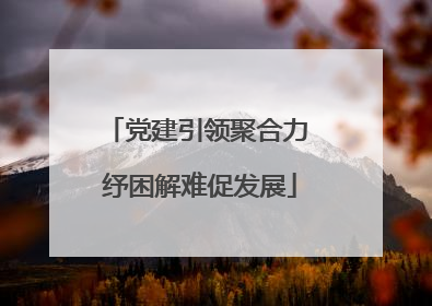党建引领聚合力 纾困解难促发展