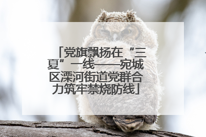 党旗飘扬在“三夏”一线——宛城区溧河街道党群合力筑牢禁烧防线