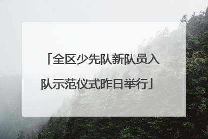 全区少先队新队员入队示范仪式昨日举行