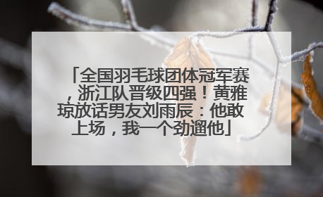 全国羽毛球团体冠军赛，浙江队晋级四强！黄雅琼放话男友刘雨辰：他敢上场，我一个劲遛他