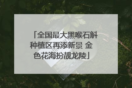全国最大黑喉石斛种植区再添新景 金色花海扮靓龙陵