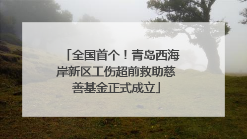 全国首个！青岛西海岸新区工伤超前救助慈善基金正式成立
