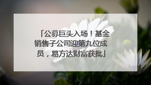 公募巨头入场！基金销售子公司迎第九位成员，易方达财富获批