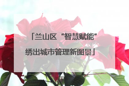 兰山区“智慧赋能”绣出城市管理新图景