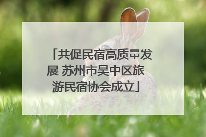 共促民宿高质量发展 苏州市吴中区旅游民宿协会成立