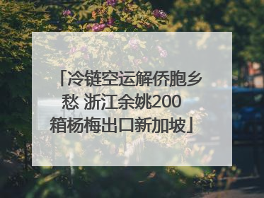 冷链空运解侨胞乡愁 浙江余姚200箱杨梅出口新加坡