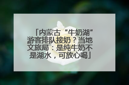 内蒙古“牛奶湖”游客排队接奶？当地文旅局：是纯牛奶不是湖水，可放心喝