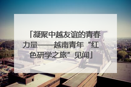 凝聚中越友谊的青春力量——越南青年“红色研学之旅”见闻