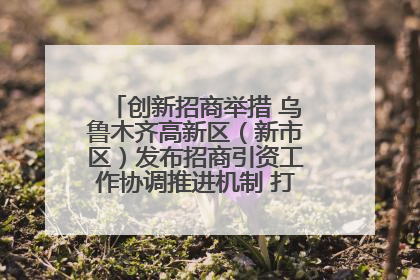 创新招商举措 乌鲁木齐高新区（新市区）发布招商引资工作协调推进机制 打造投资发展新高地