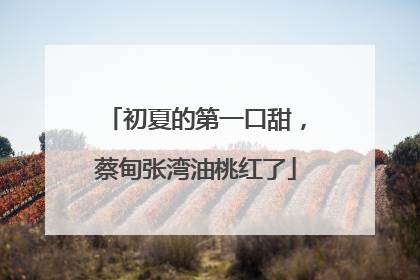 初夏的第一口甜，蔡甸张湾油桃红了