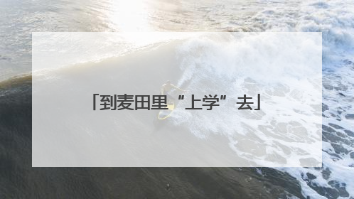 到麦田里“上学”去