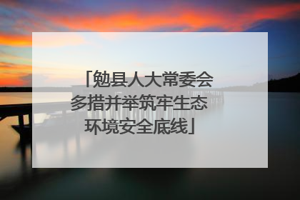 勉县人大常委会多措并举筑牢生态环境安全底线