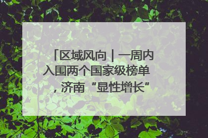 区域风向｜一周内入围两个国家级榜单，济南“显性增长”刷新城市影响力