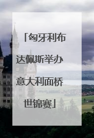 匈牙利布达佩斯举办意大利面桥世锦赛