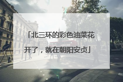北三环的彩色油菜花开了，就在朝阳安贞