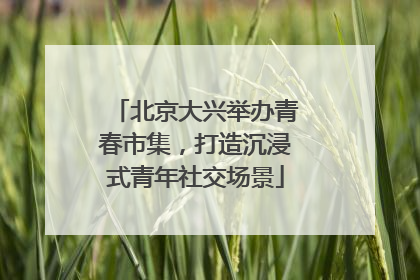 北京大兴举办青春市集，打造沉浸式青年社交场景
