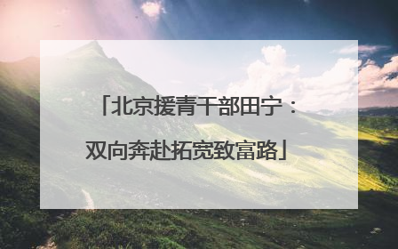 北京援青干部田宁：双向奔赴拓宽致富路