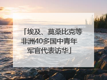 埃及、莫桑比克等非洲40多国中青年军官代表访华