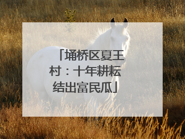 埇桥区夏王村：十年耕耘结出富民瓜