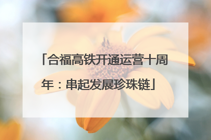 合福高铁开通运营十周年：串起发展珍珠链
