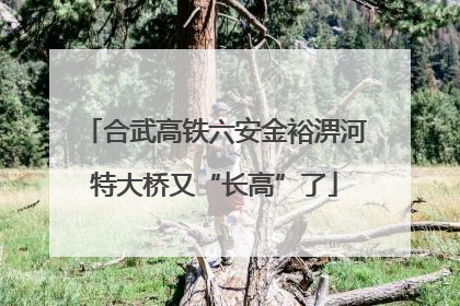 合武高铁六安金裕淠河特大桥又“长高”了